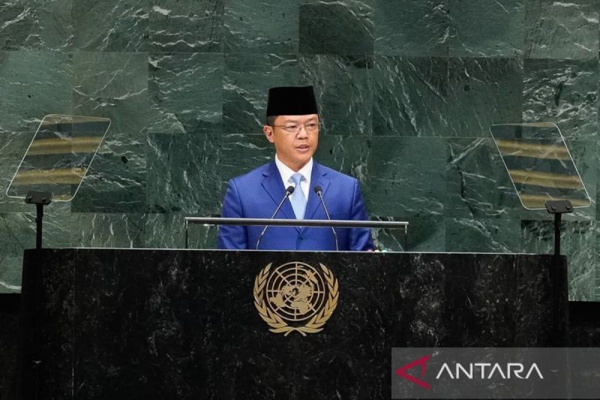 Ketahanan nasional dan suara untuk Palestina di panggung PBB — NadiKabar.com