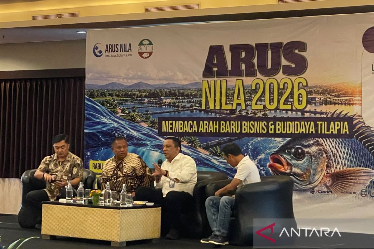 KKP mengembangkan induk unggul dukung budi daya ikan nila — NadiKabar.com