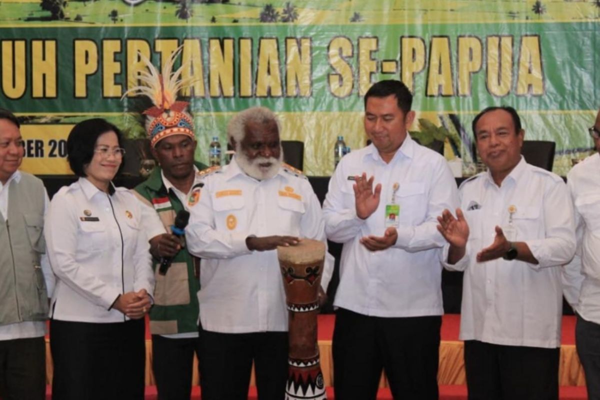 Pemerintah pusat dorong pengembangan sektor pertanian di Papua Selatan