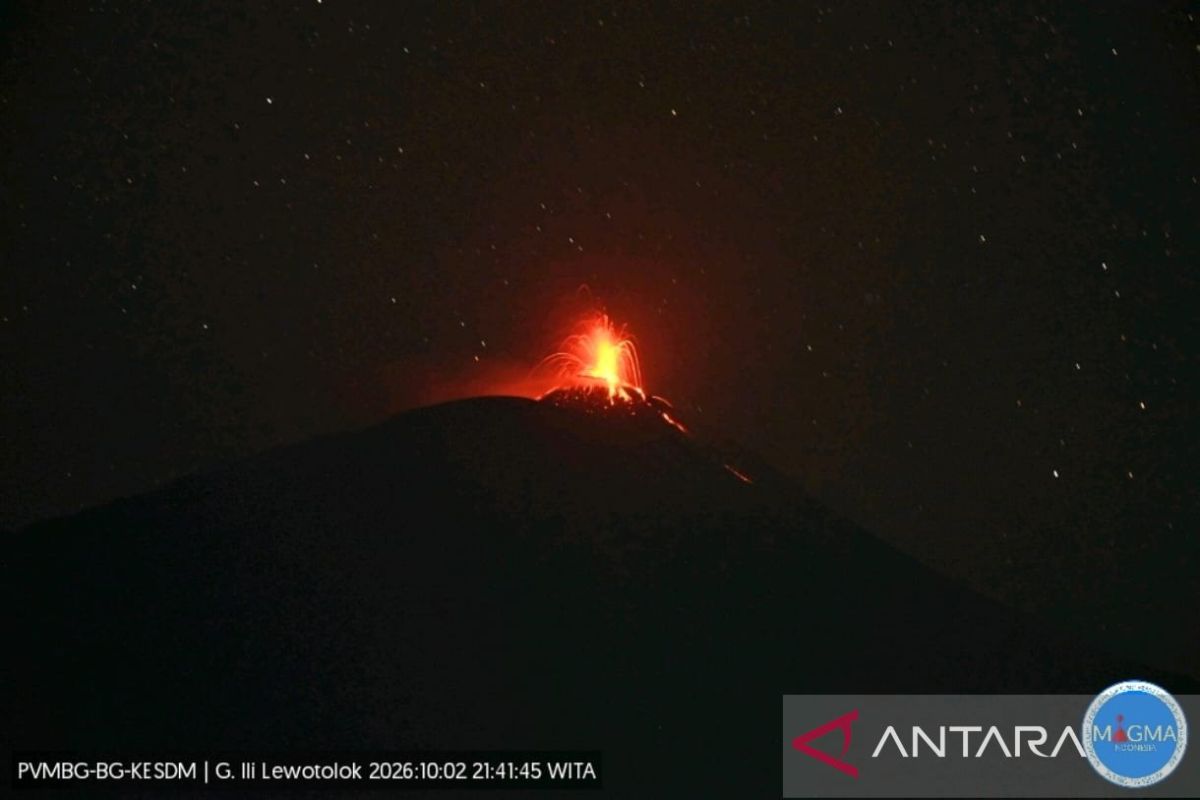 Gunung Ili Lewotolok erupsi muntahkan abu dan lelehan lava 500 meter — NadiKabar.com