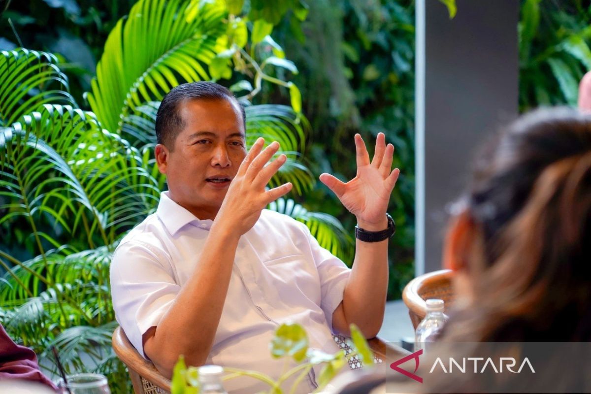 Gubernur NTB tawarkan pariwisata dan investasi EBT ke delegasi UEA