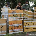 antarafoto-lepas-burung-selundupan-100621-af-2 antarafoto-lepas-burung-selundupan-100621-af-2