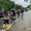 BMKG Pangkalpinang imbau masyarakat waspadai banjir air pasang