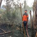 BPBD Kotawaringin Barat padamkan tiga kebakaran lahan di Arut Selatan