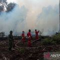 Kebakaran hutan gambut di Kabupaten Pesisir Selatan