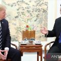 Donald Trump jadi penentu nasib TikTok di Amerika Serikat