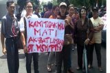 DEMO PT MSM