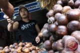 Bupati pastikan kembangkan produk lokal