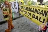 Anti Pembantaian Penyu