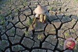 Gunung Kidul bangun embung dengan teknologi geomembran 