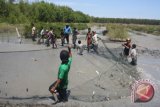 Panen perdana ikan bandeng Manado capai 400 kg