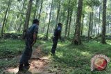 Dirjen KSDA Ajak Masyarakat Cinta Hutan