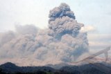 Artha Graha Kirim Bantuan-Relawan ke Kelud