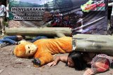 Penyelamatan Hutan Kalimantan
