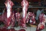 Bulog pasok daging kerbau beku dari India
