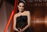 Angelina Jolie kunjungi kamp pengungsi Rohingya di Bangladesh