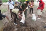 Petani Libatkan Pelajar Basmi Hama Tikus  