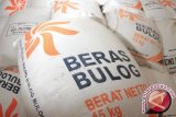 Bulog Timika sudah salurkan beras pengganti ke Kabupaten Puncak