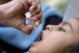 DKK Padang Targetkan 69.000 Anak Diimunisasi Campak