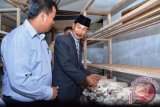Solok Selatan Pamerkan Mesin Penetas Telur  di TTG Nasional