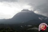 Pria 51 tahun  meninggal saat mendaki Gunung Kinabalu