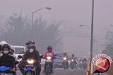 Pekanbaru diliputi kabut asap