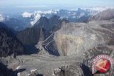 Freeport siapkan 600 juta dolar untuk bangun smelter tahap awal