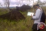 Balai Arkeologi Papua sosialisasikan Situs Megalitik Tutari