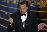 Leonardo DiCaprio Kembalikan Piala Oscar Marlon Brando, Kenapa Ya?