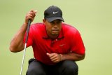 Tiger Woods belum pastikan ikut 