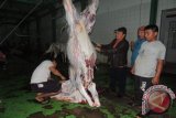 Pemprov Sulut pasok daging sapi penuhi kebutuhan Ramadhan