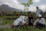 Warga Merapi Bertekad Lindungi Hutan melalui Agroforestri 