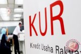 KUR Credit Interest Cut To Seven Percent in 2018