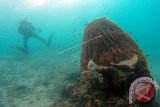 NTT Luncurkan Foto Bawah Laut Meko