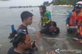 Terumbu Karang Perairan Jepara Mulai Diminati Wisatawan