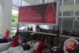 Peninsula Peduli Kemanusiaan Lewat Donor Darah 