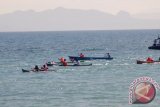 Nelayan Ikut Lomba Dayung Perahu Tradisional 