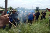 Bupati hadiahi penangkap tikus terbanyak dengan pompa air