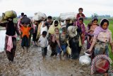 Myanmar desak warga Rohingnya bantu buru pemberontak