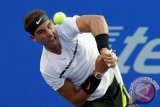 Nadal ke Semifinal AS Terbuka Setelah 