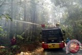 Kawasan Hutan Tanah Daru Terbakar