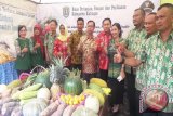 Kalteng Tingkatkan Pertanian Dukung Kedaulatan Pangan Nasional