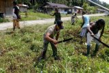 Babinsa Yapen Timur dampingi petani asli Papua tingkatkan hasil pertanian