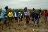 Relawan Garudafood Tanam Mangrove di Pati 