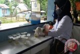Berikan Jaminan Keselamatan, 43 Sopir Jalani Tes Urine