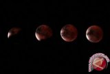 Cara melihat gerhana bulan Super Blue Blood Moon