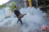 Pencegahan DBD