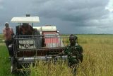 Wakil Menteri Luar Negeri PNG jajaki peluang pembelian beras dari Merauke
