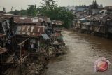 Program naturalisasi sungai Ciliwung