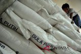 Peneliti CIPS desak kebijakan impor gula dievaluasi keseluruhan